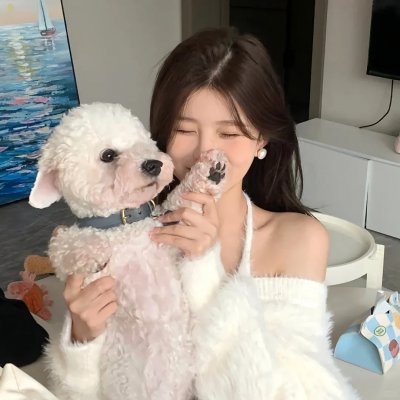 喜剧生活
